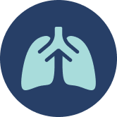 Icon of Lungs
