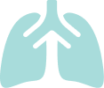 Icon of lungs